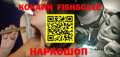 тгк Дмитров