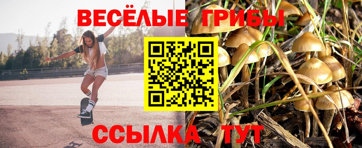 Псилоцибиновые грибы Cubensis Королёв