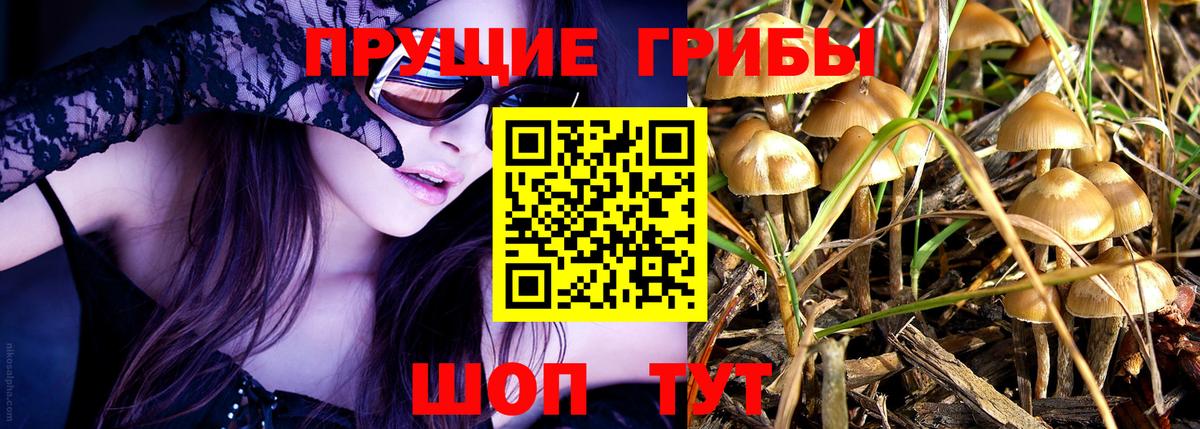 Галлюциногенные грибы Magic Shrooms  Псилоцибиновые грибы Psilocybine cubensis  Вход с VPN  Королёв 